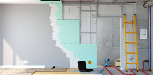 Best Black Mold Removal  in Slinger, WI