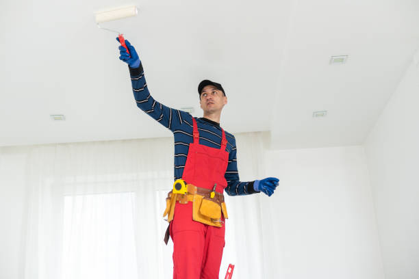  Slinger, WI Mold Removal Pros