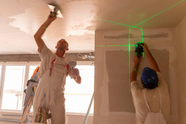 Mold Odor Removal Services in Slinger, WI